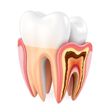 ترمیم-دندان